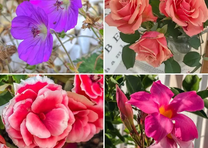 La Dormance 4* Beaune (Cote d'Or)