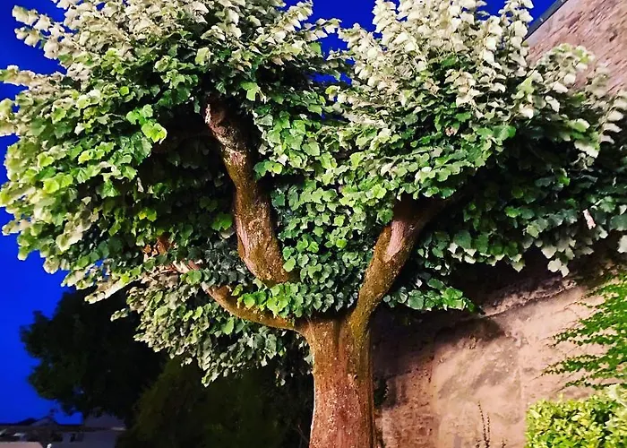 La Dormance Bed and breakfast 4*